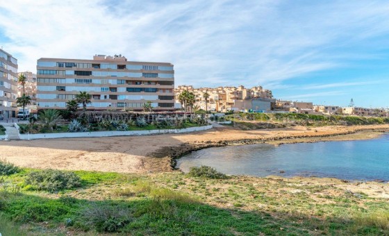 Apartment / flat - Resale - Torrevieja -
                Torrelamata