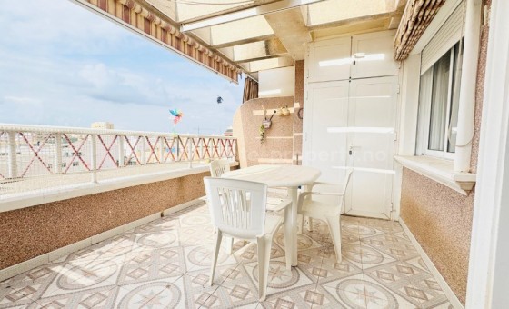 Apartment / flat - Resale - Torrevieja -
                Torrevieja