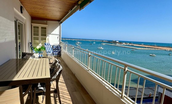 Apartment / flat - Resale - Torrevieja -
                Torrevieja