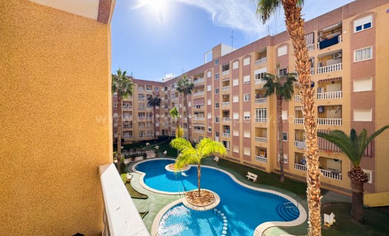 Apartment / flat - Resale - Torrevieja -
                Torrevieja