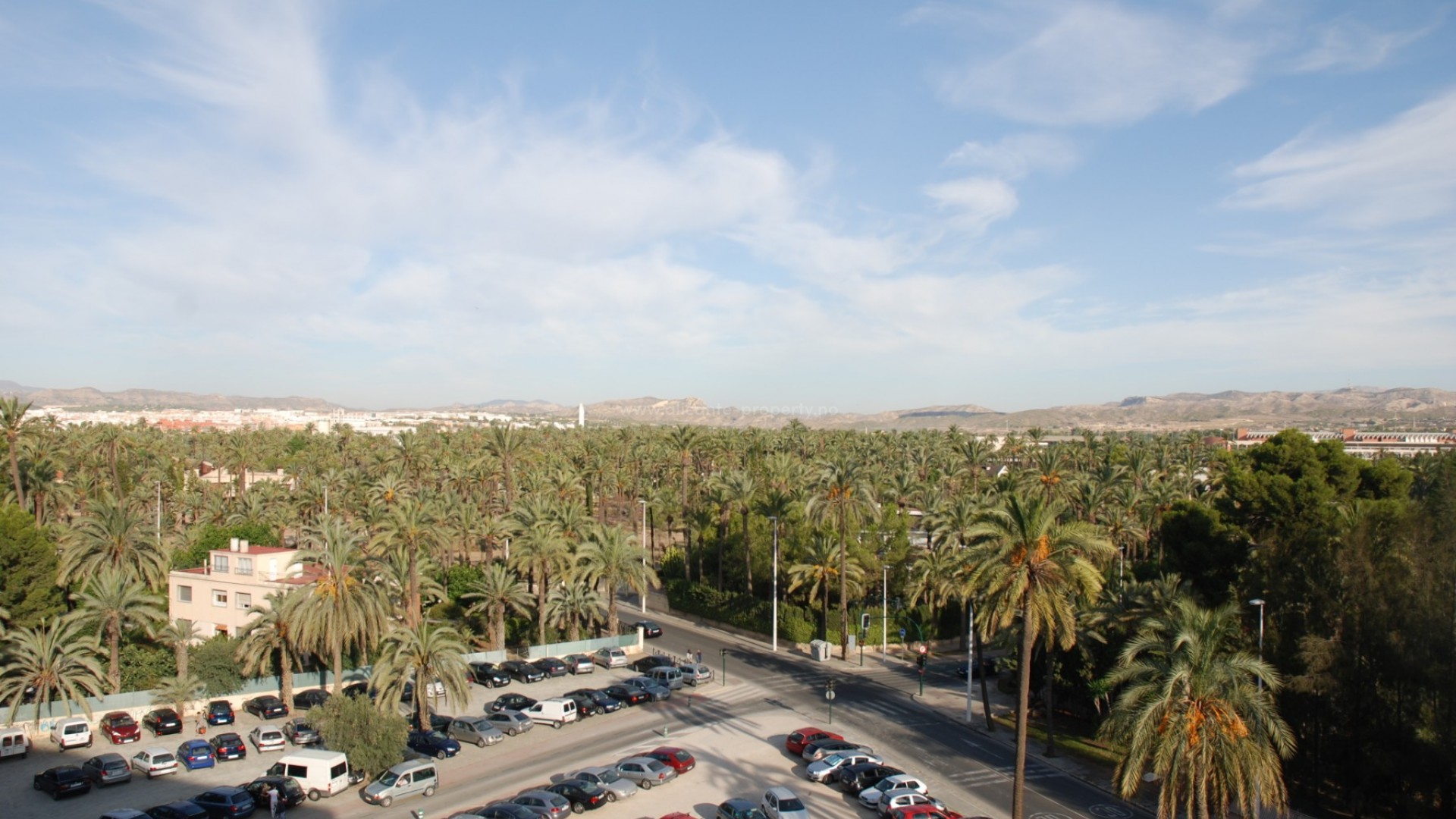 Apartments/flats in the center of Elche city - different sizes with 4, 3 and 2 bedrooms