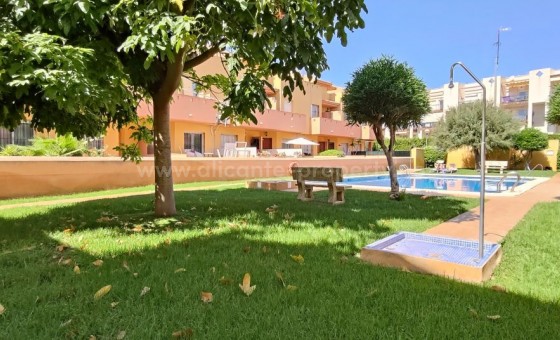 Bungalow - Brukt bolig - Cabo Roig -
                Cabo Roig