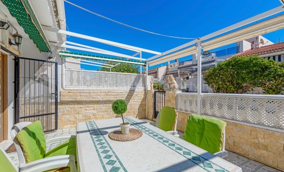 Bungalow - Brukt bolig - Guardamar del Segura -
                Guardamar del Segura
