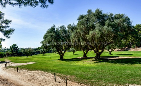 Bungalow - Brukt bolig - Orihuela - Orihuela Costa