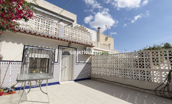 Bungalow - Brukt bolig - Torrevieja -
                Torrevieja Centro