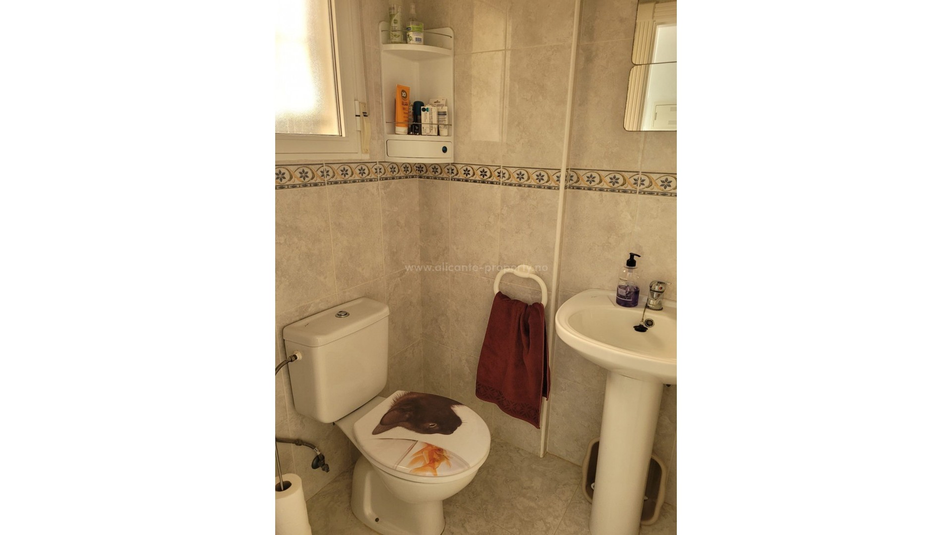 Bungalow en Algorfa Centro