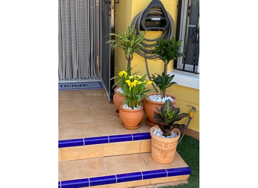 Bungalow en Guardamar del Segura