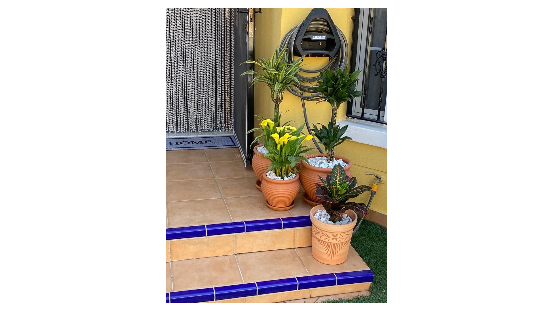 Bungalow en Guardamar del Segura