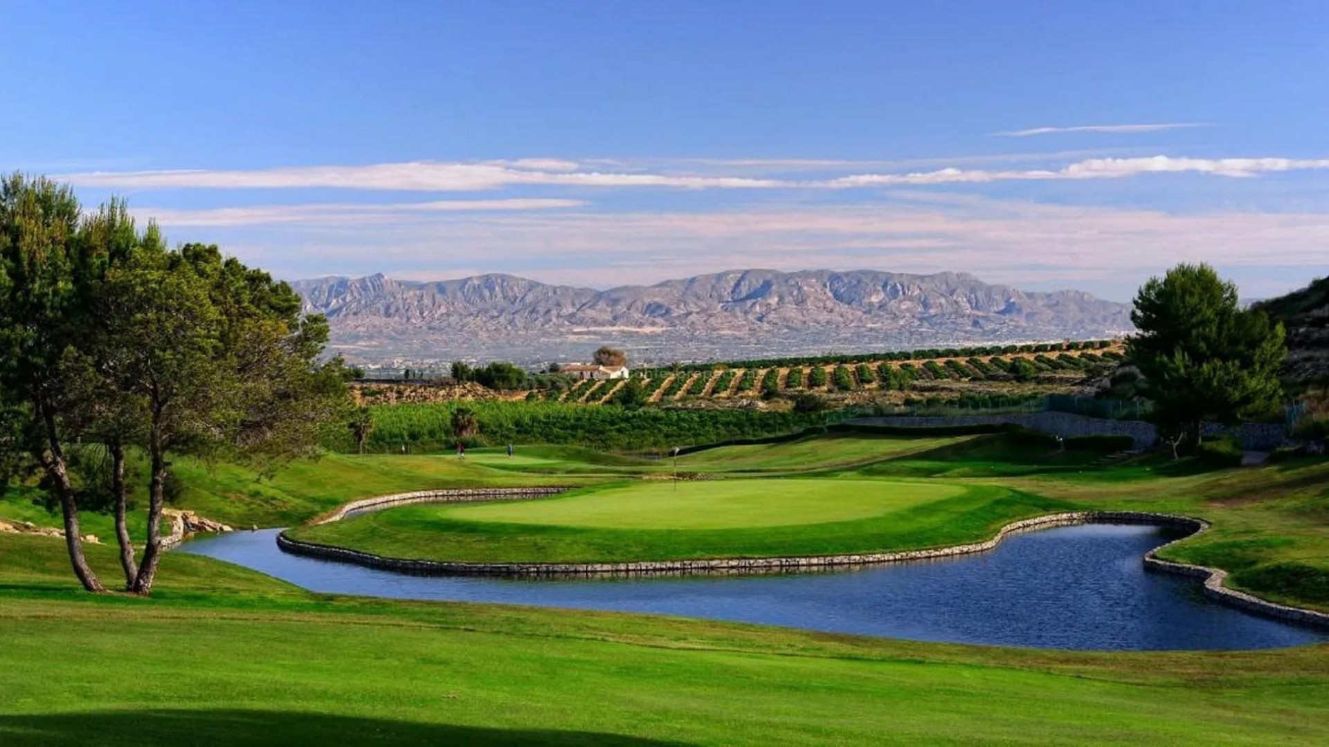 Bungalow en La finca Golf