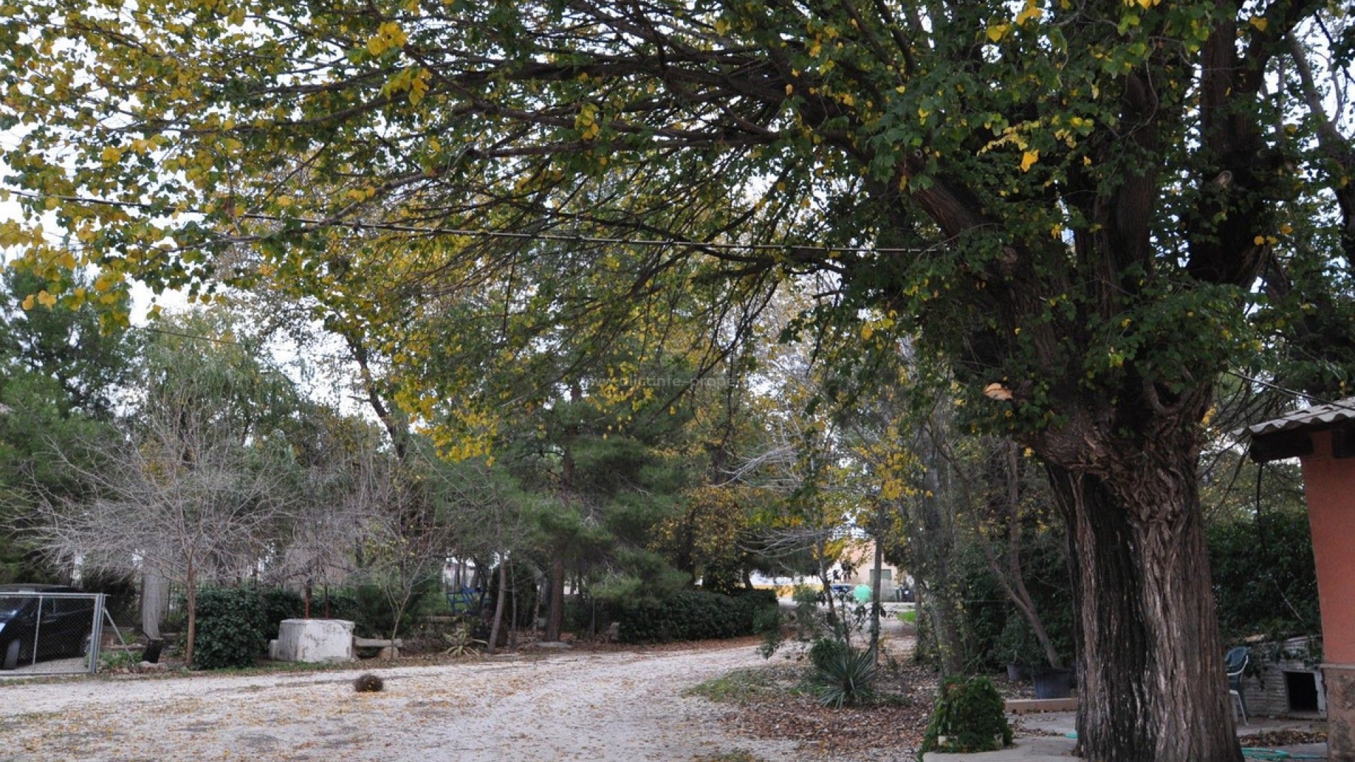 Bungalow en Pinoso Centro