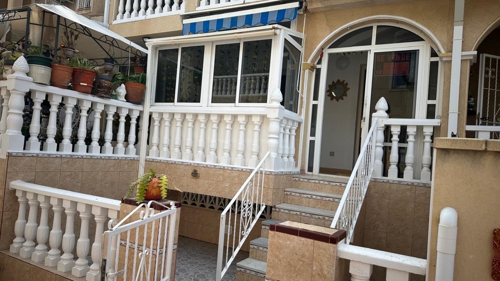 Bungalow en Punta Prima