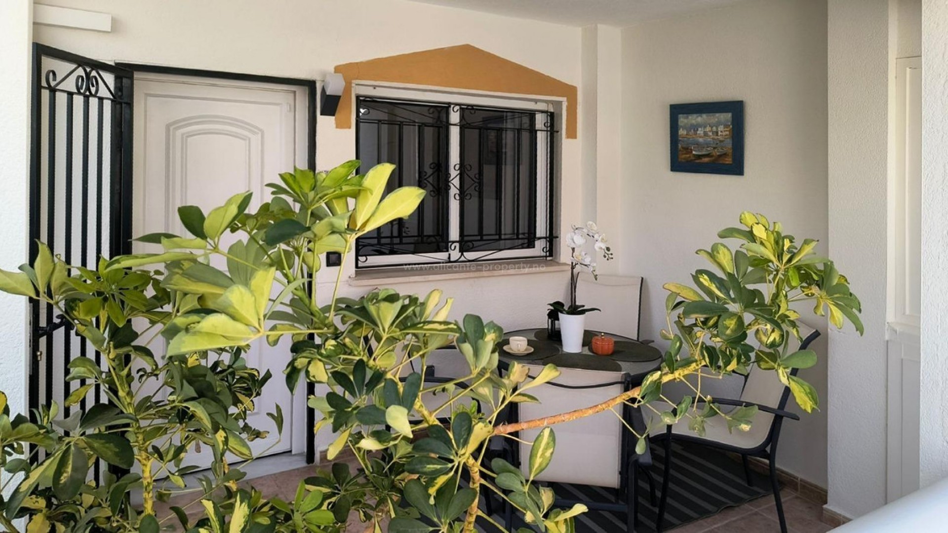 Bungalow en Punta Prima
