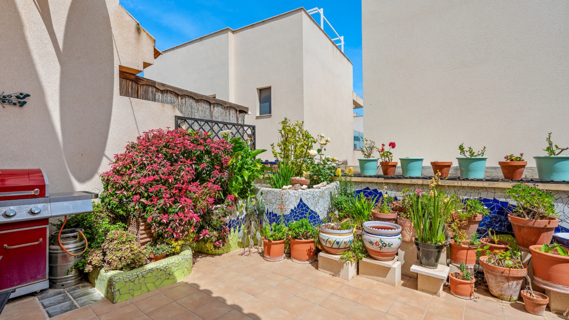 Bungalow en San Miguel de Salinas Centro