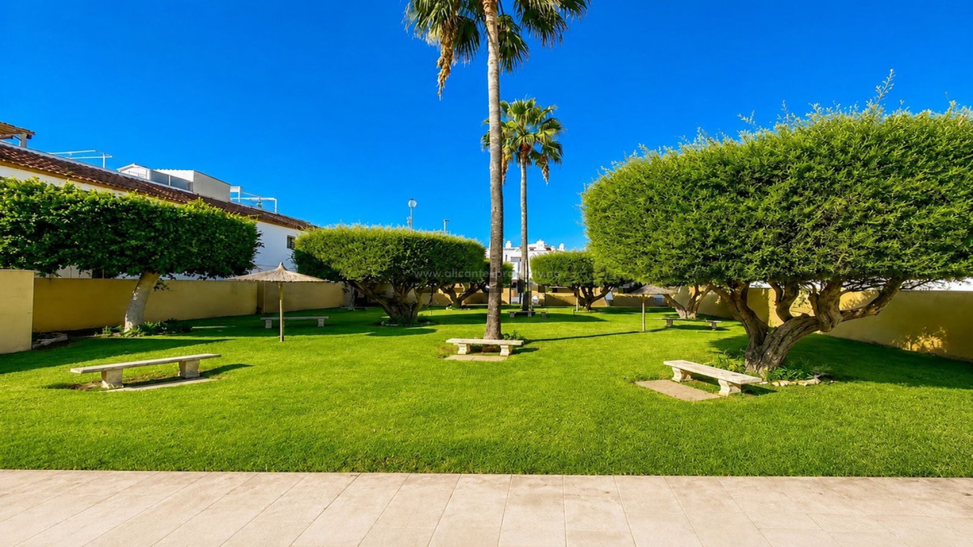Bungalow en Torrevieja Centro