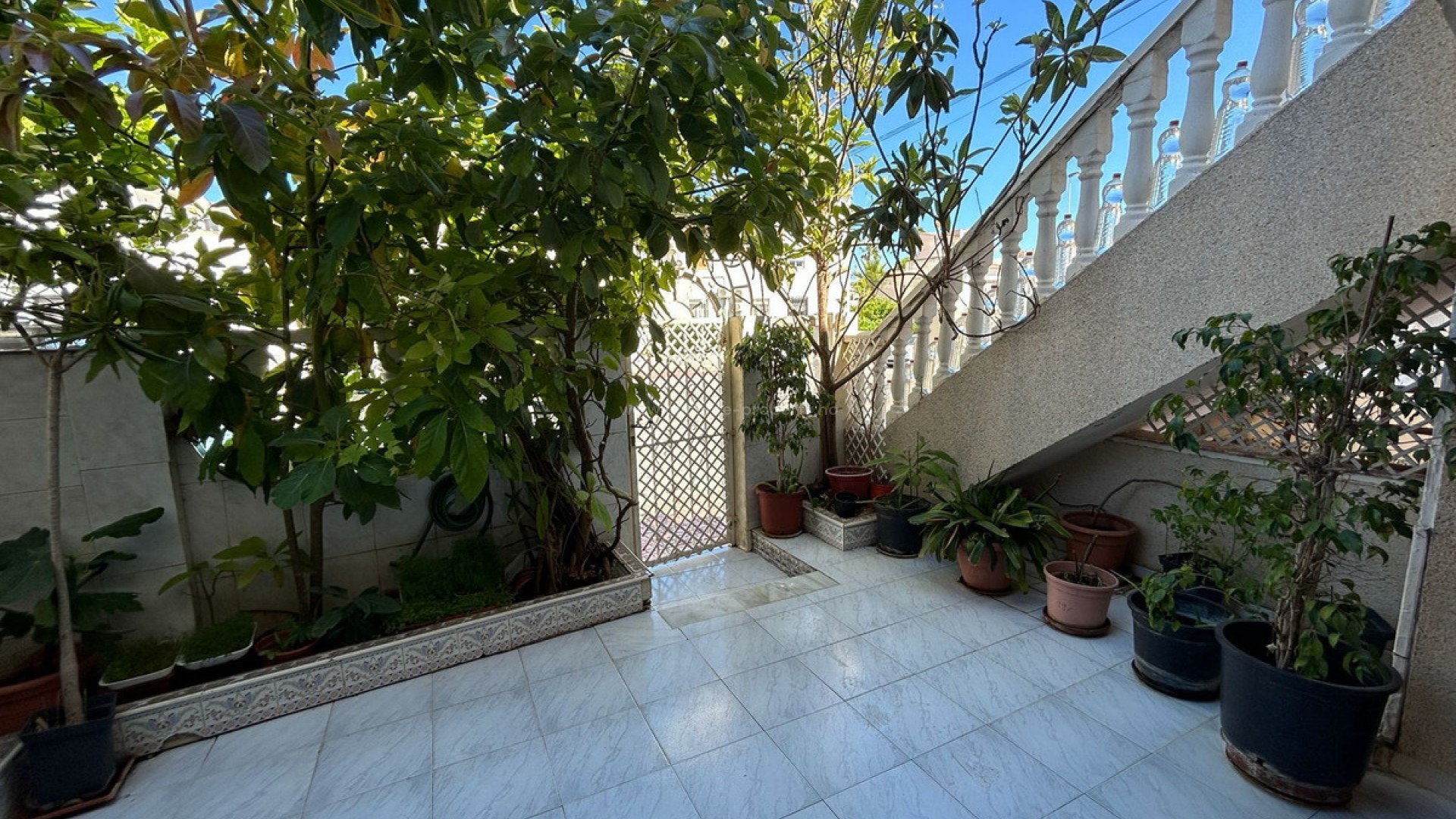 Bungalow en Torrevieja Centro