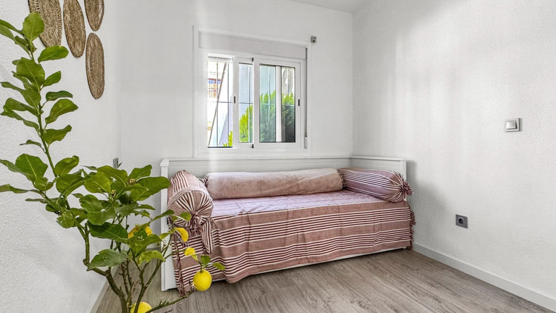 Bungalow en Torrevieja Centro
