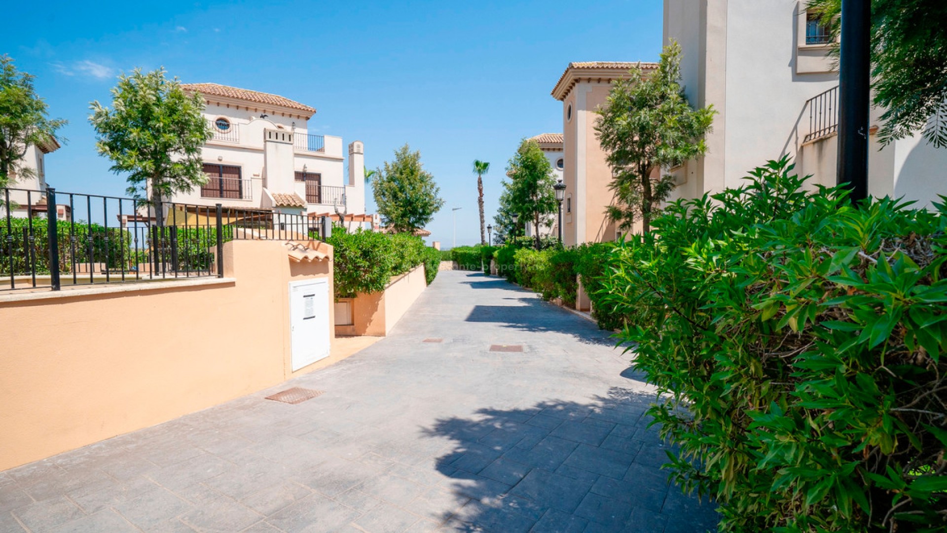Bungalow i Algorfa Centro