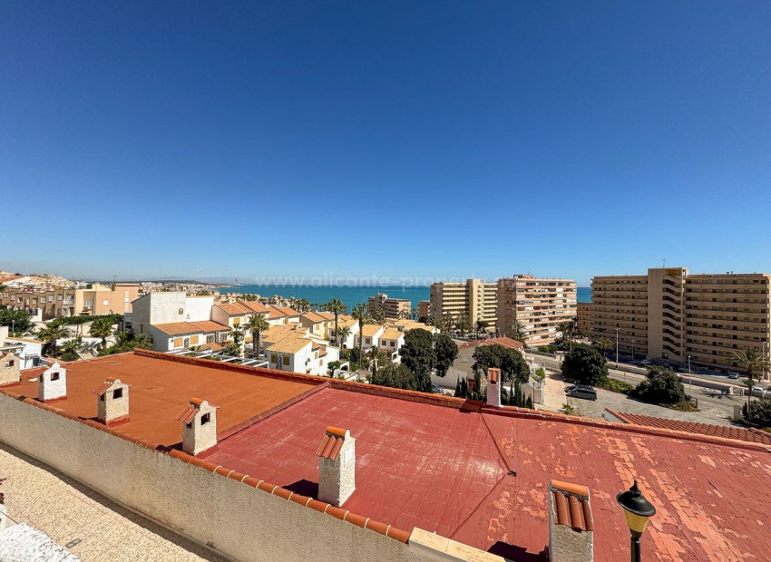 Bungalow i Cabo Cervera