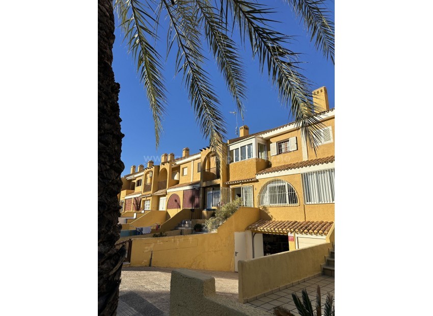 Bungalow i Cabo Roig