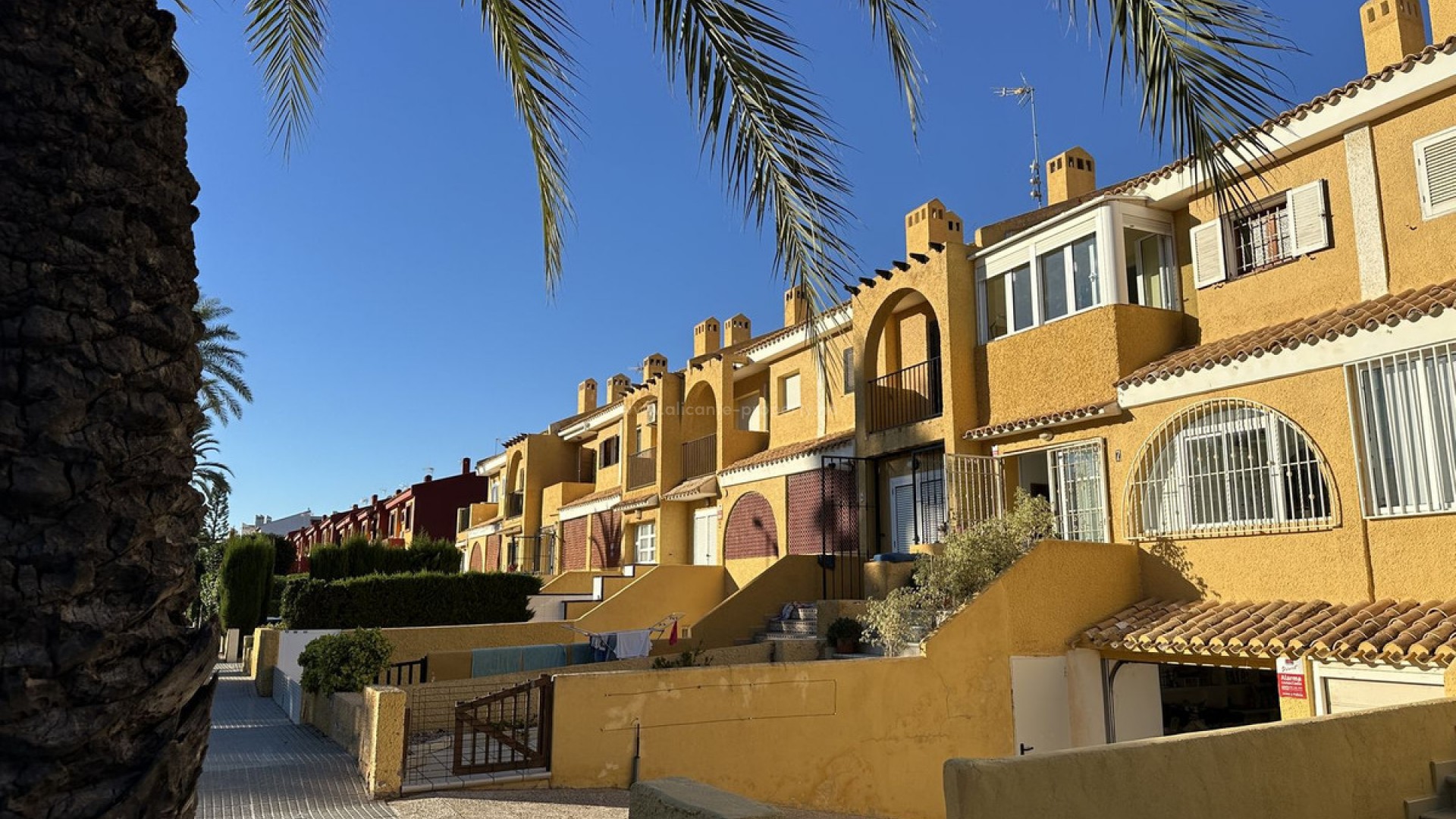 Bungalow i Cabo Roig