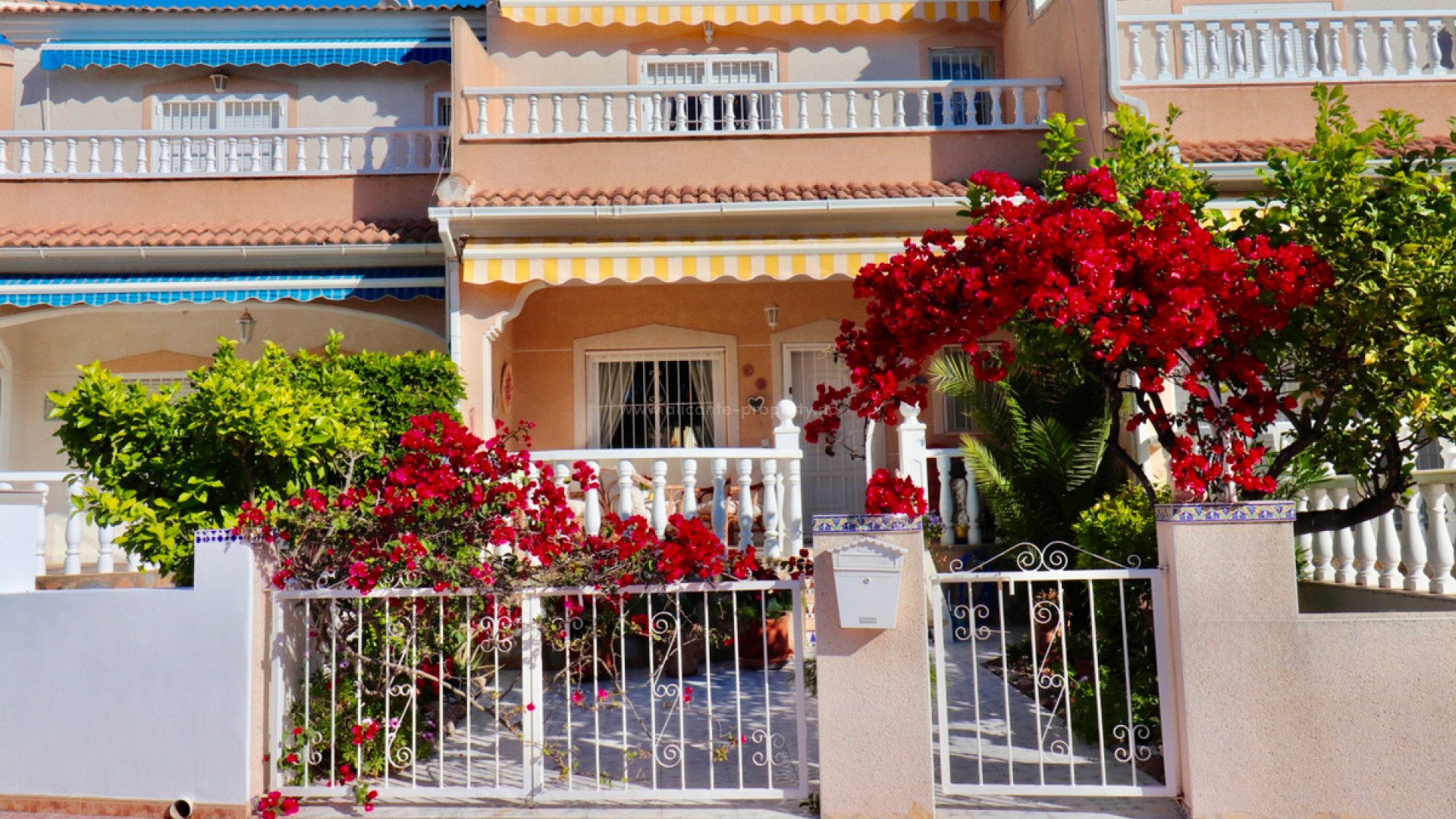 Bungalow i Doña Pepa