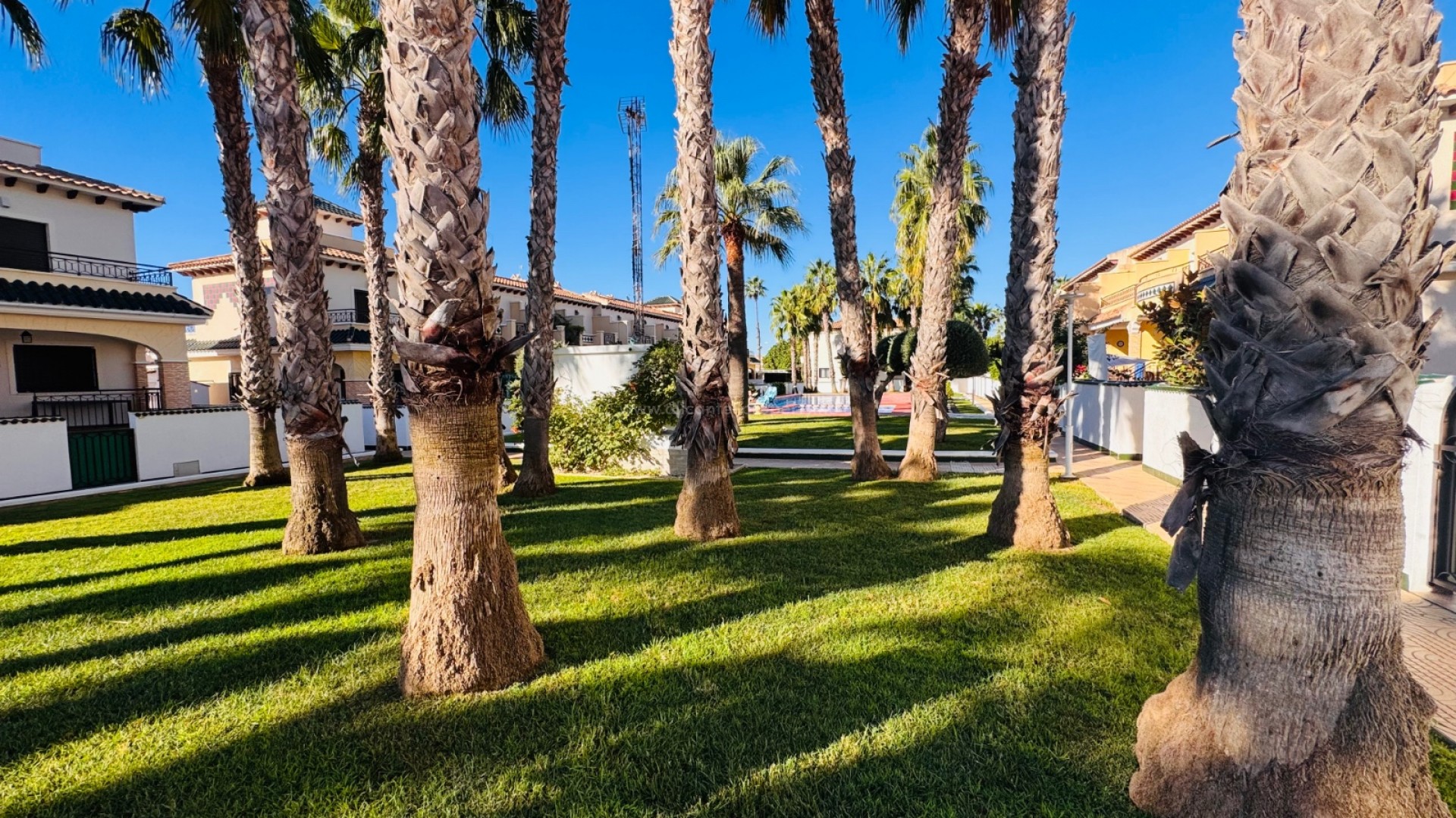 Bungalow i Doña Pepa