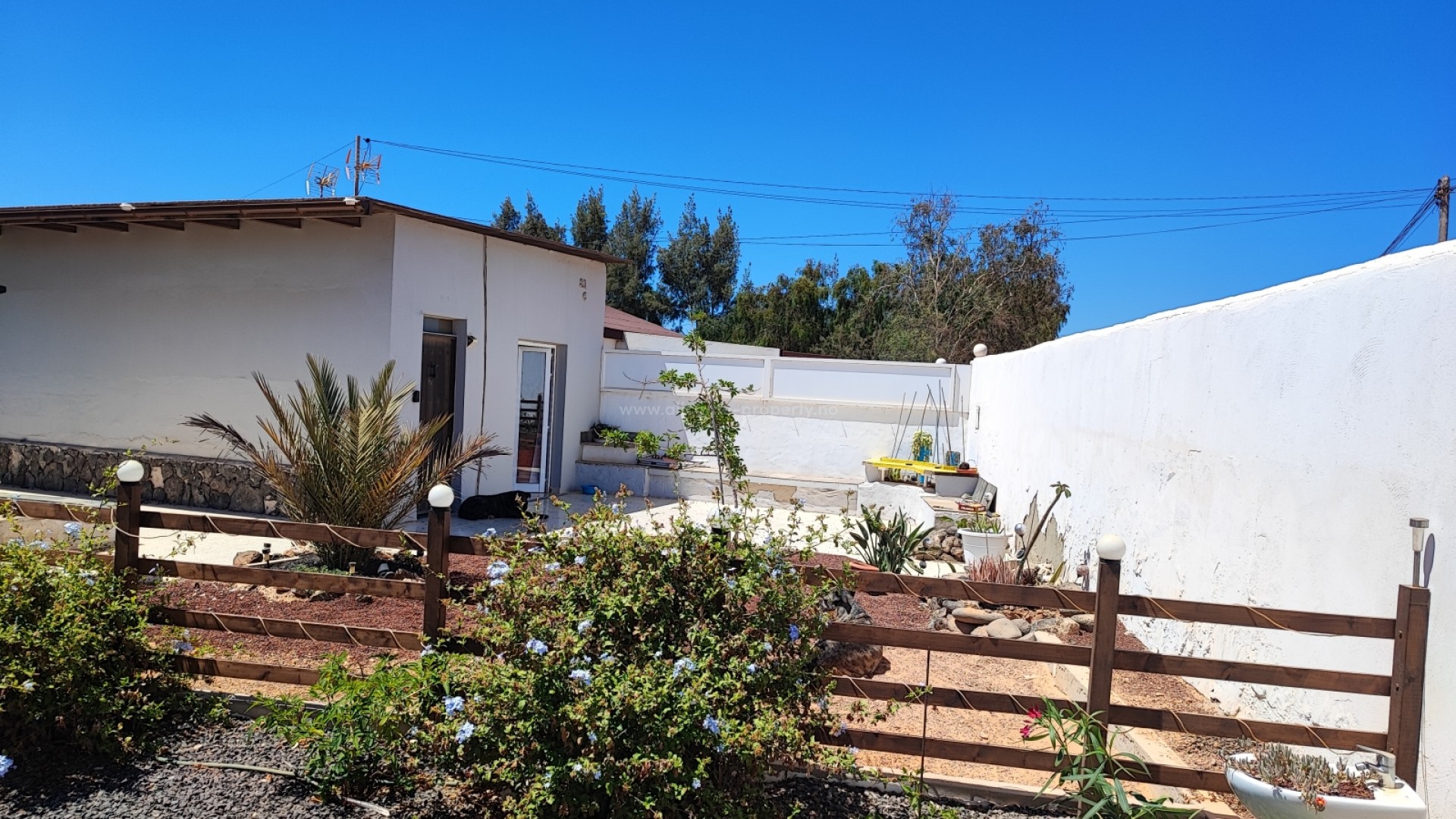 Bungalow i Fuerteventura