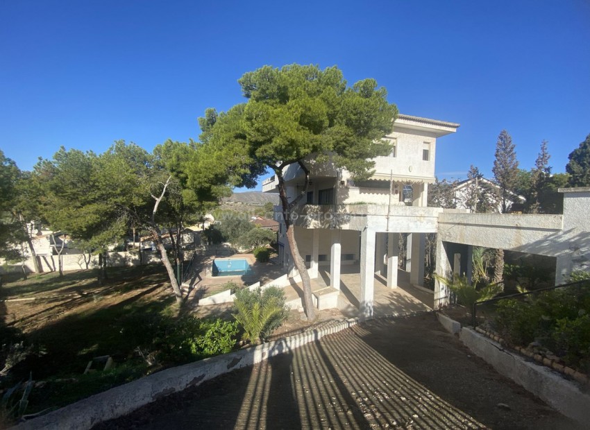 Bungalow i Isla Plana