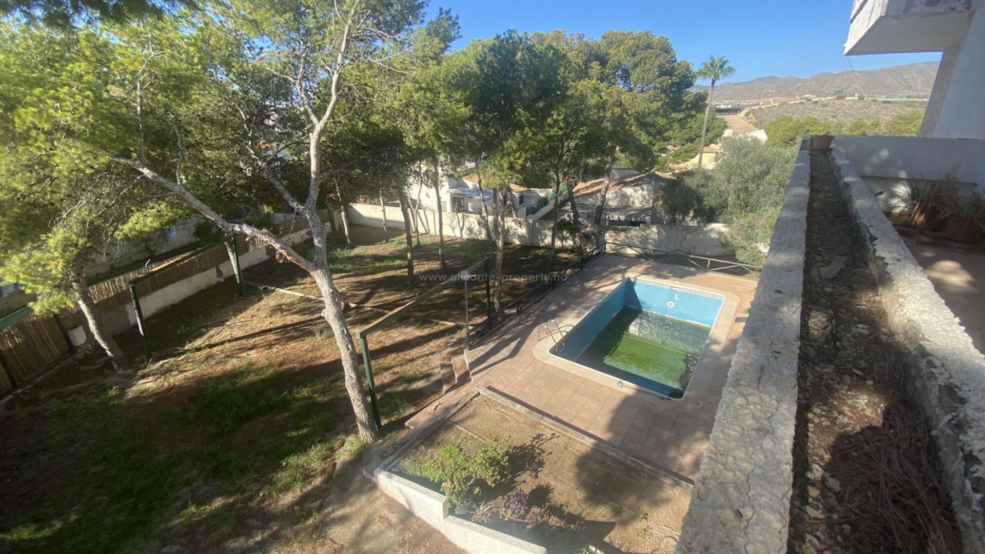 Bungalow i Isla Plana