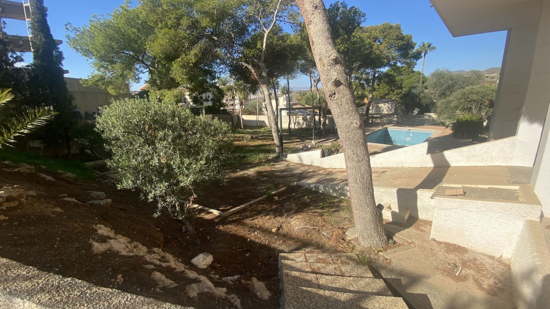 Bungalow i Isla Plana