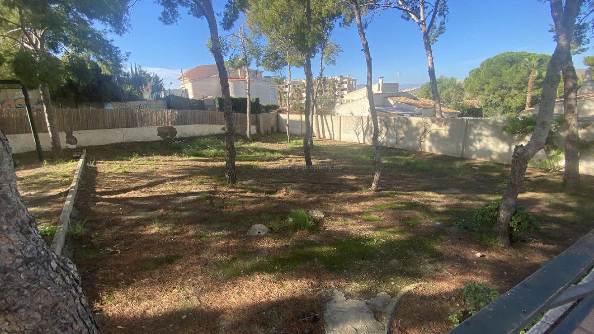 Bungalow i Isla Plana