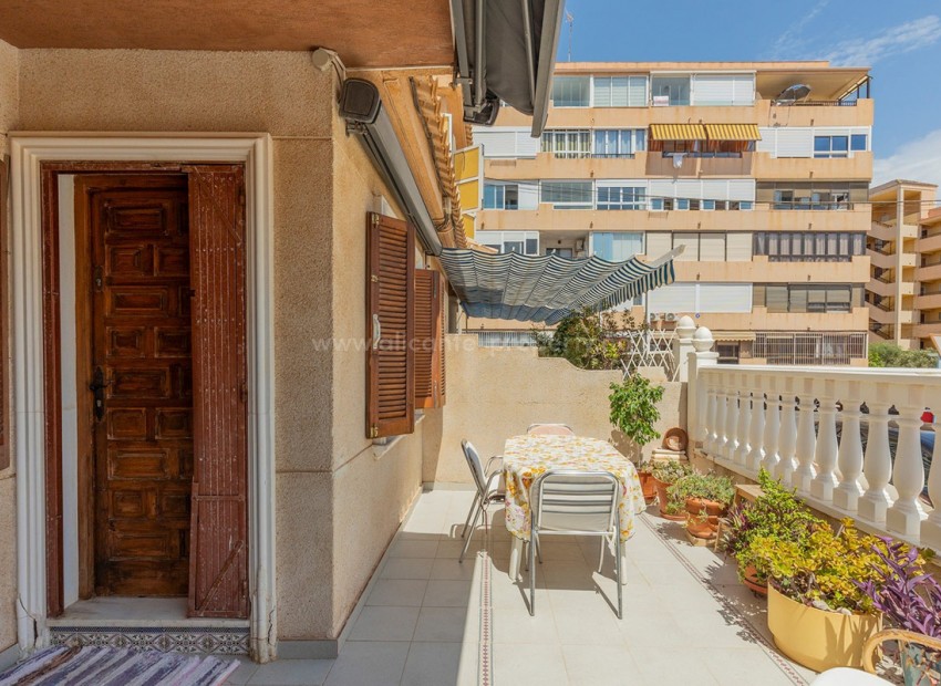Bungalow i La Mata