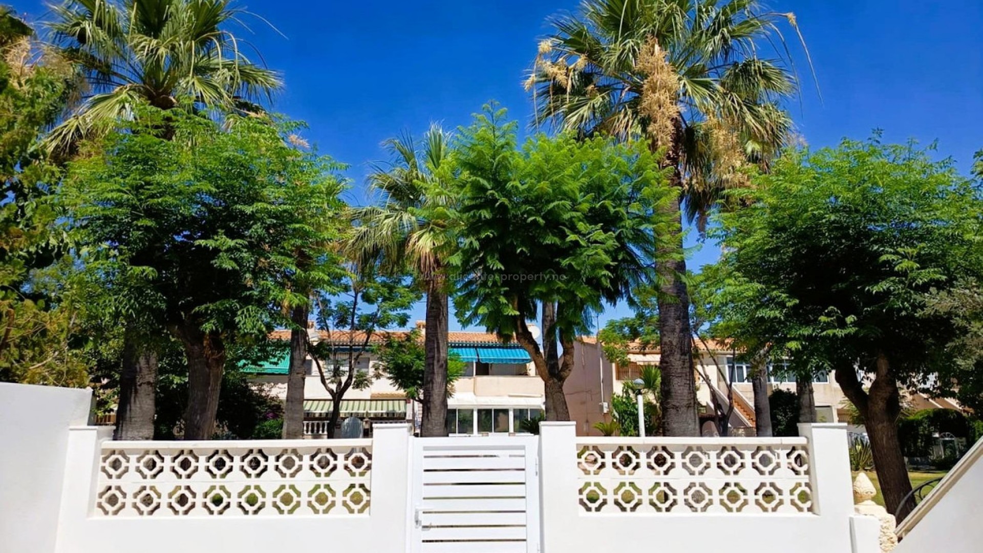 Bungalow i La Regia
