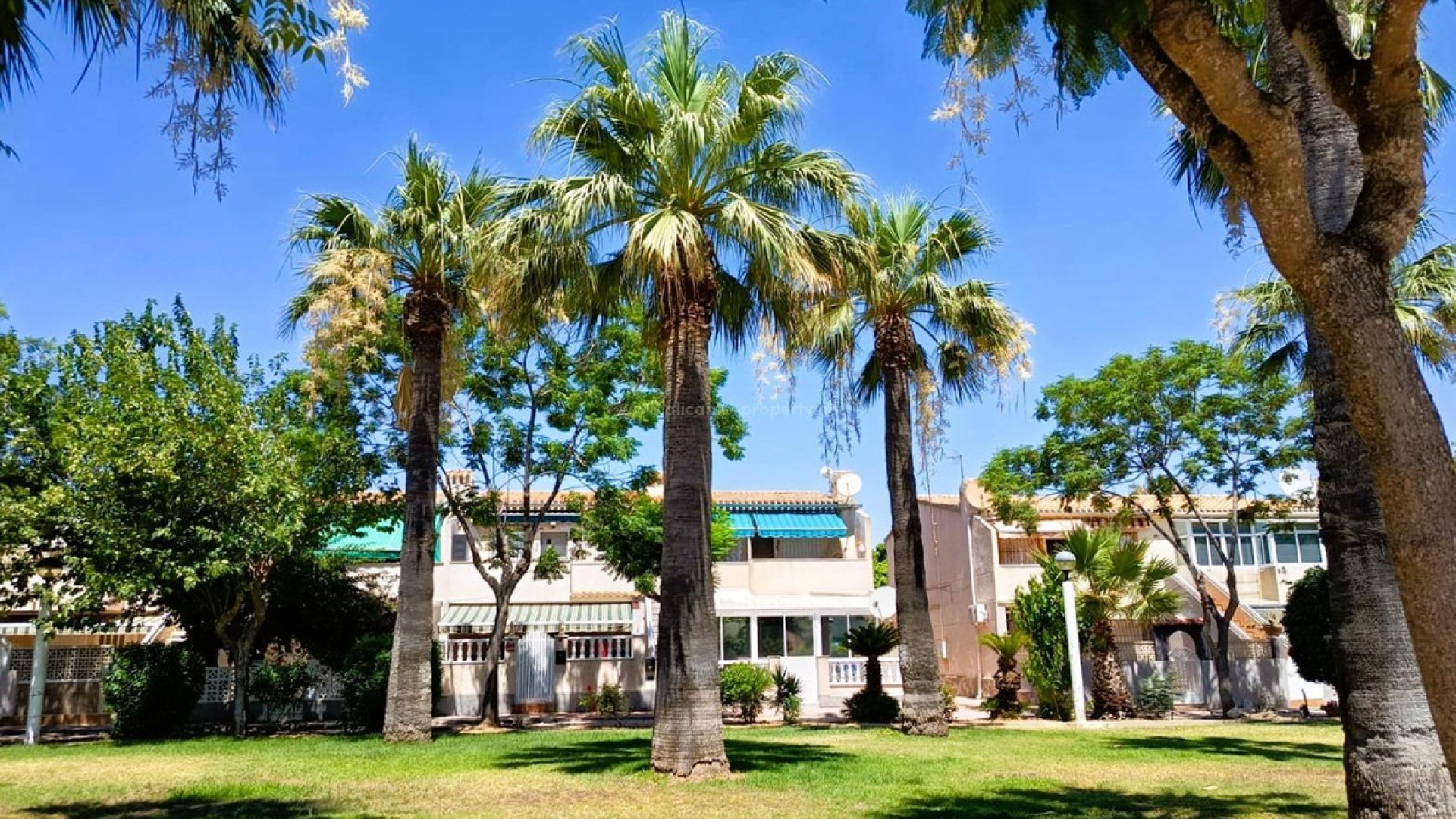 Bungalow i La Regia