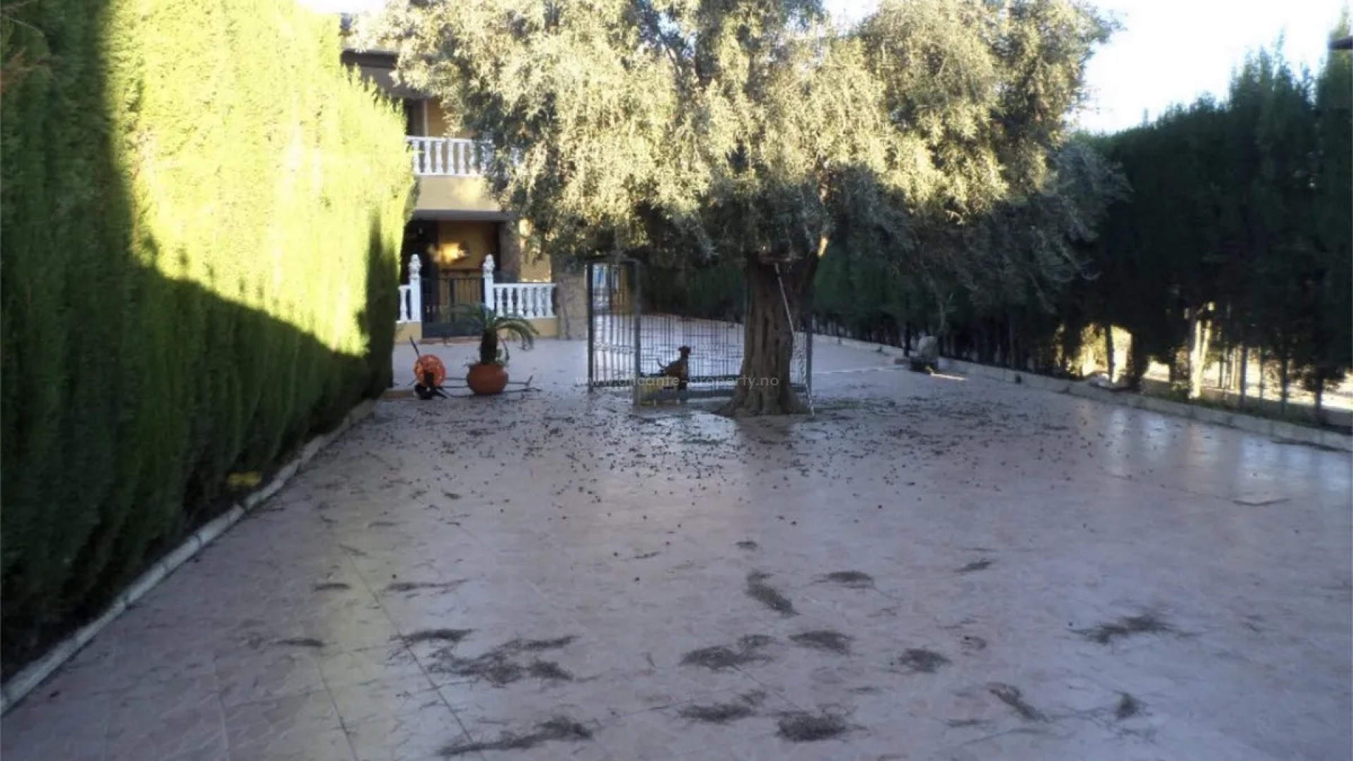 Bungalow i Orihuela Centro