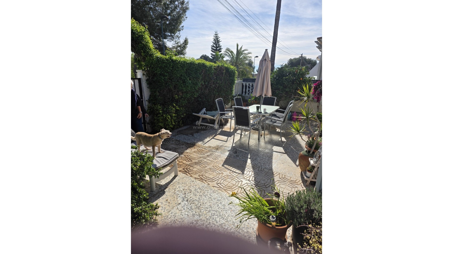 Bungalow i Pinar de Campoverde