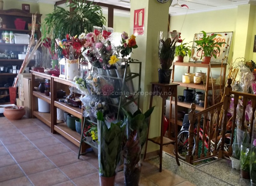 Bungalow i Pinoso Centro