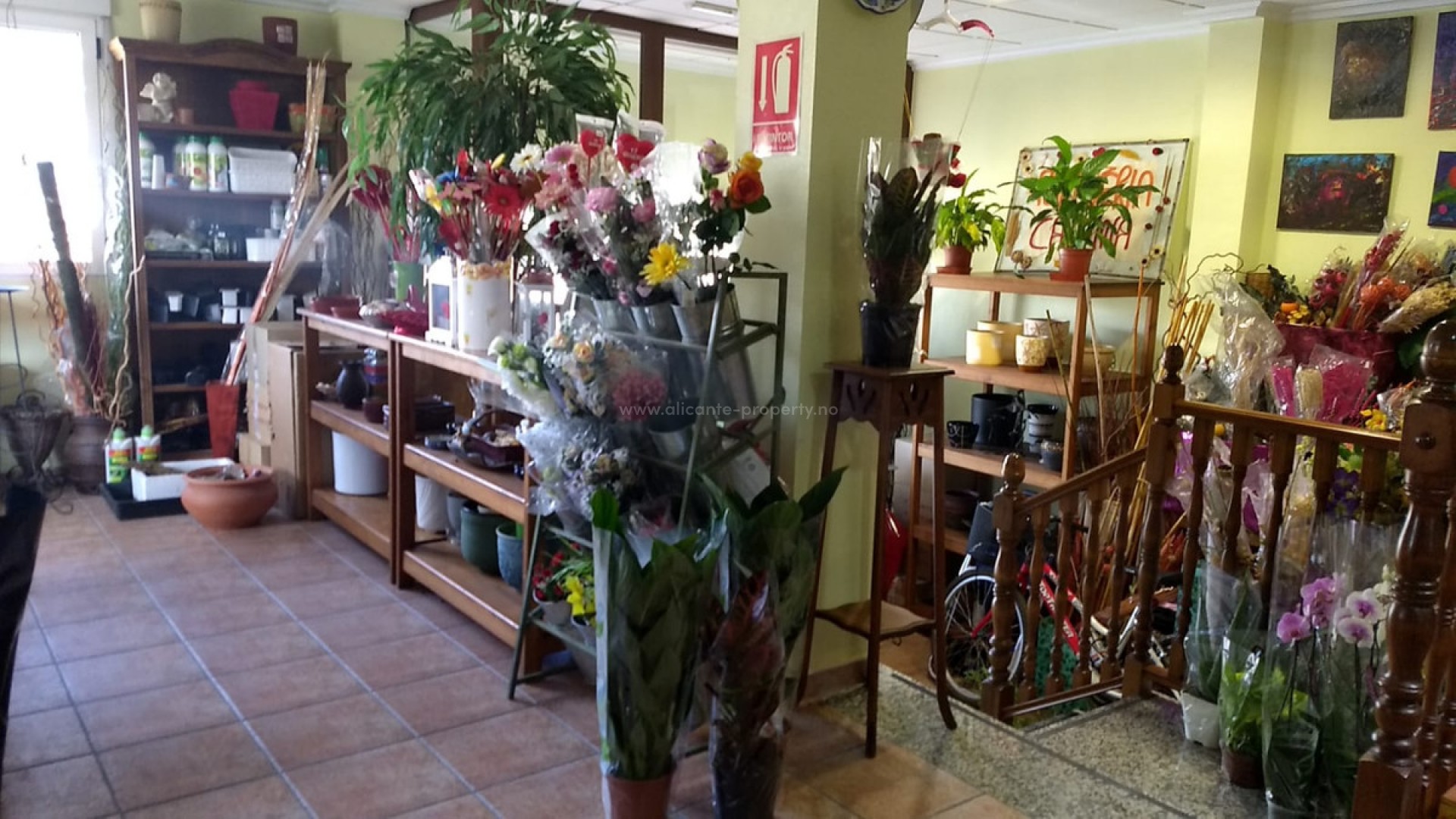 Bungalow i Pinoso Centro