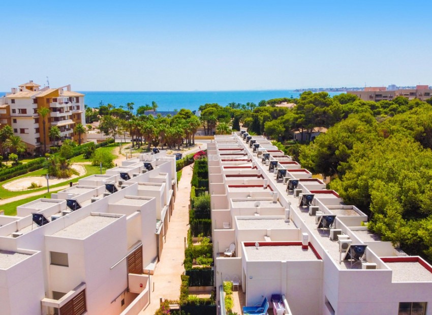 Bungalow i Punta Prima