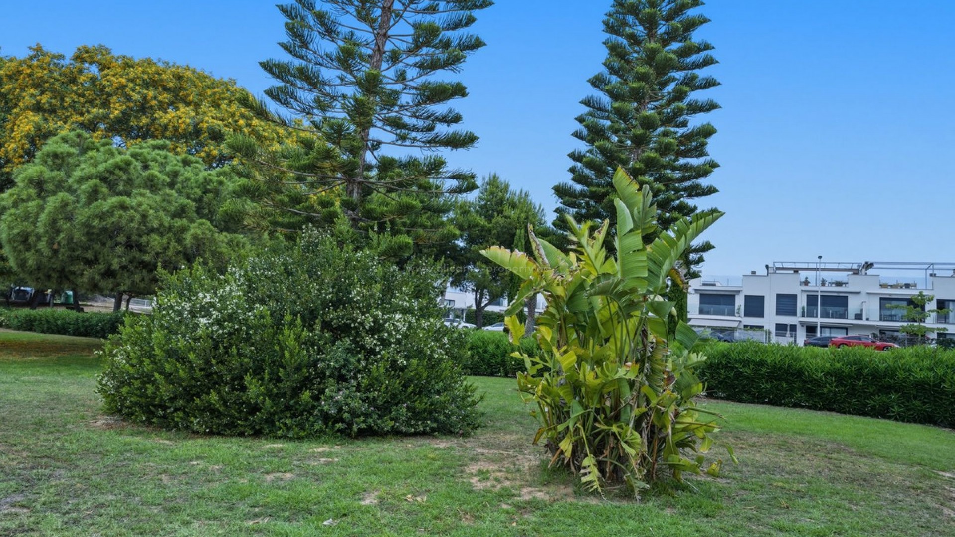 Bungalow i Punta Prima