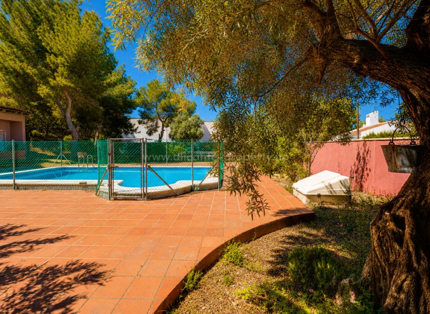 Bungalow i San Miguel de Salinas Centro