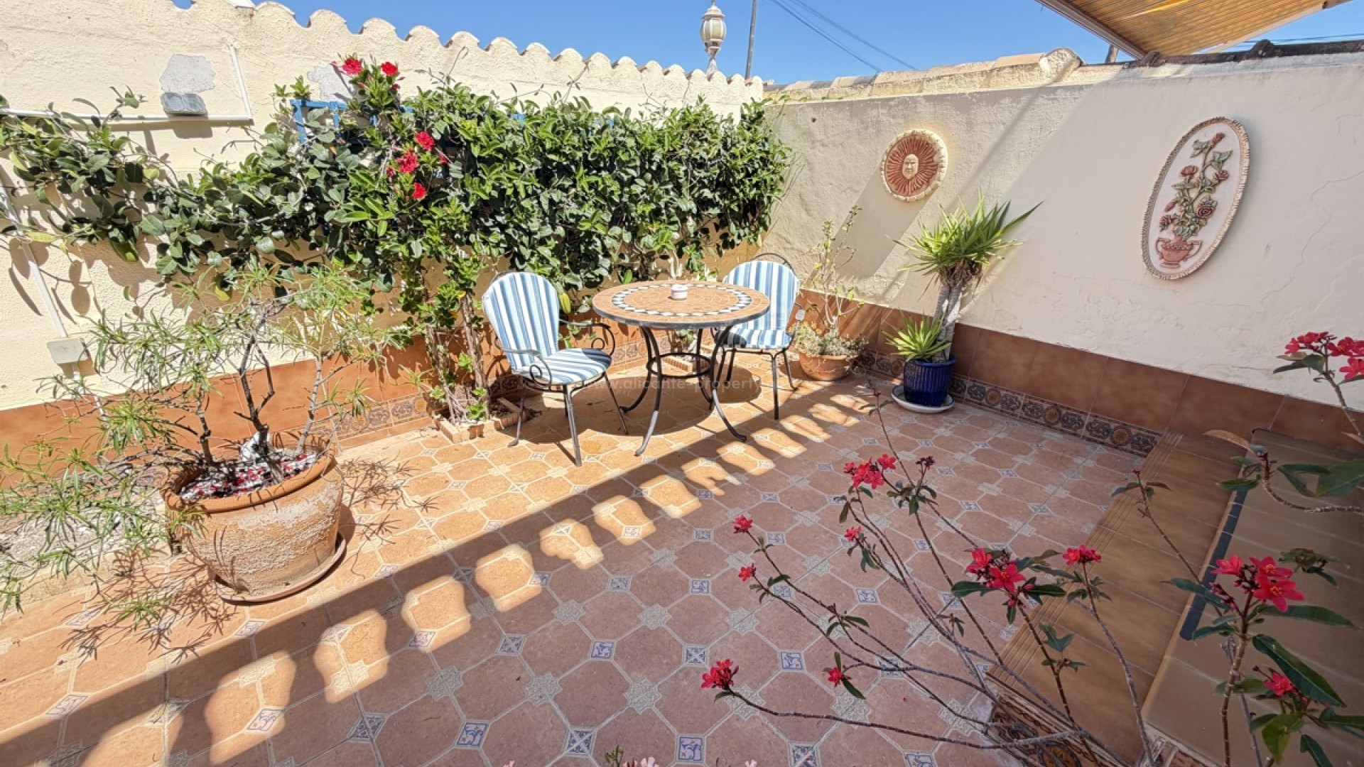 Bungalow i San Miguel de Salinas