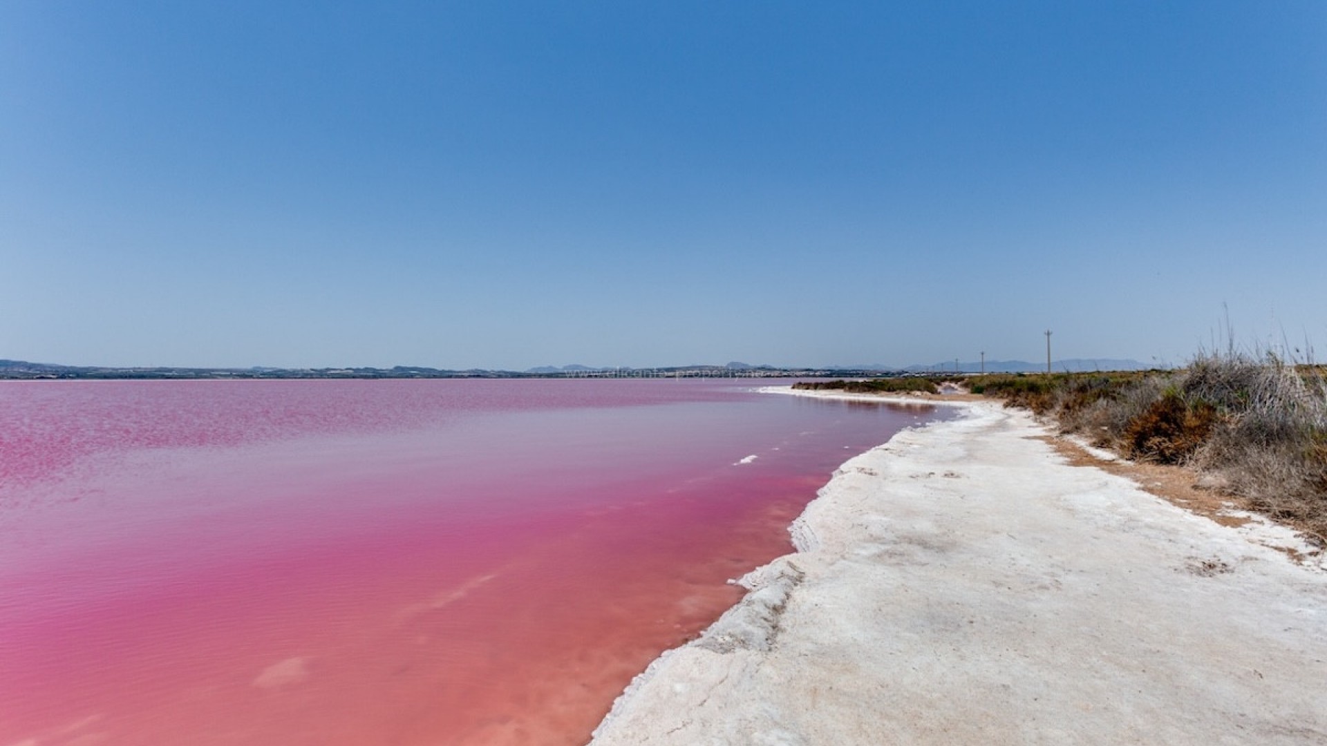 Bungalow i Torrevieja Centro