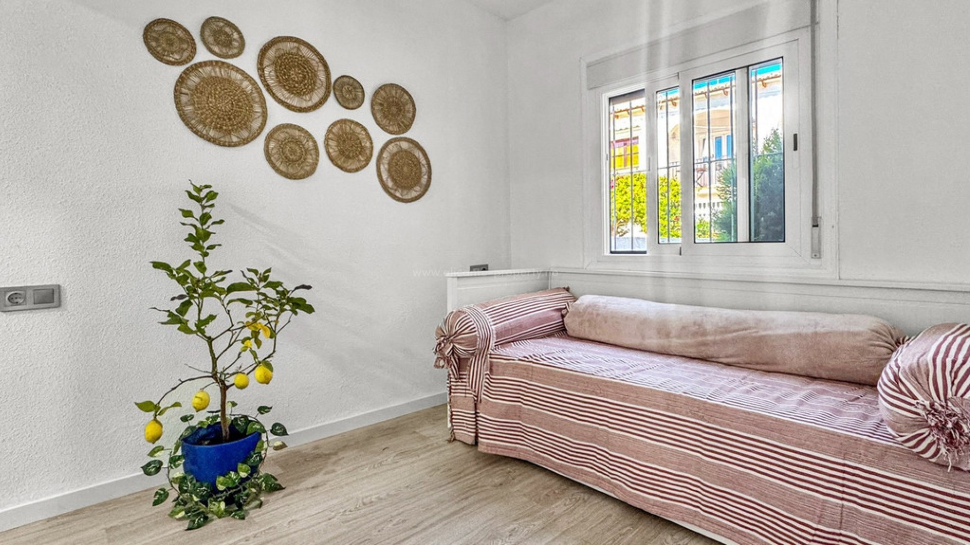 Bungalow i Torrevieja Centro