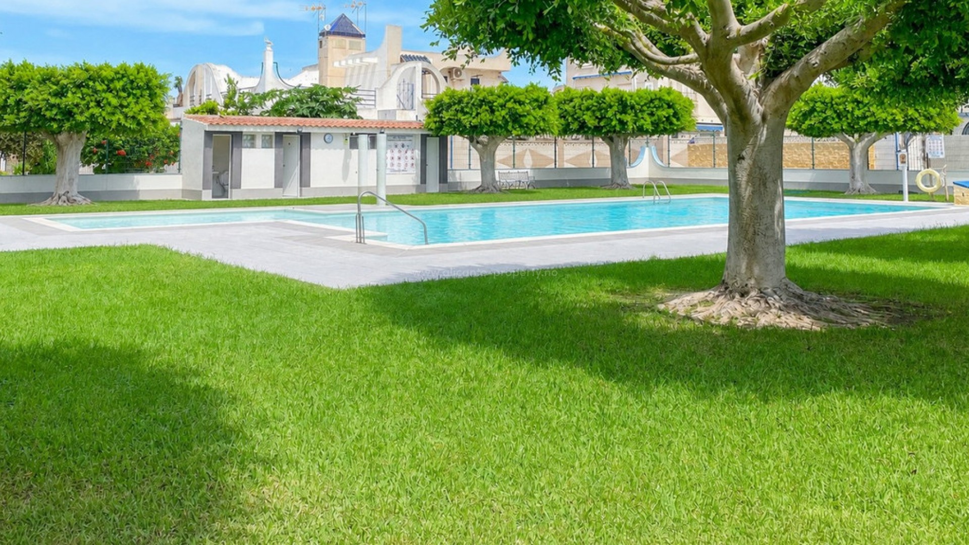Bungalow i Torrevieja Centro