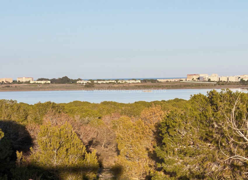Bungalow i Torrevieja Centro