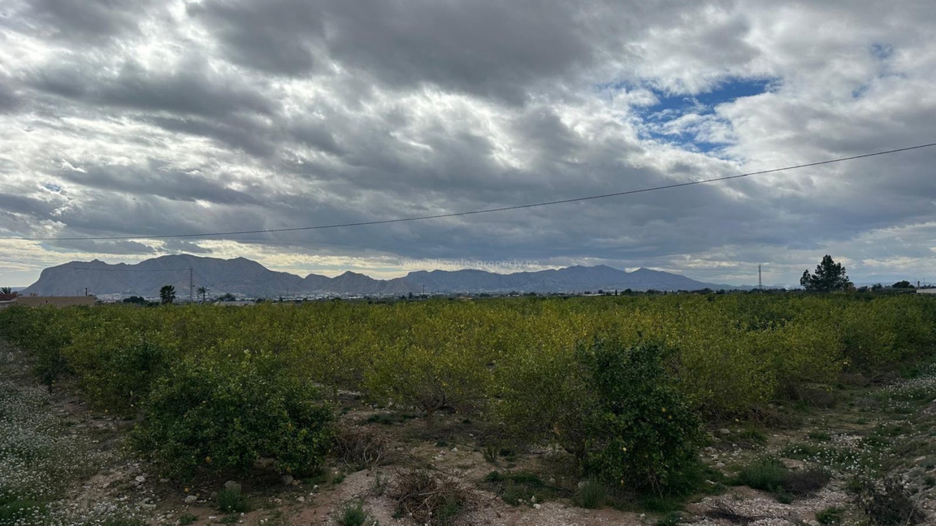 Bungalow in Albatera Centro