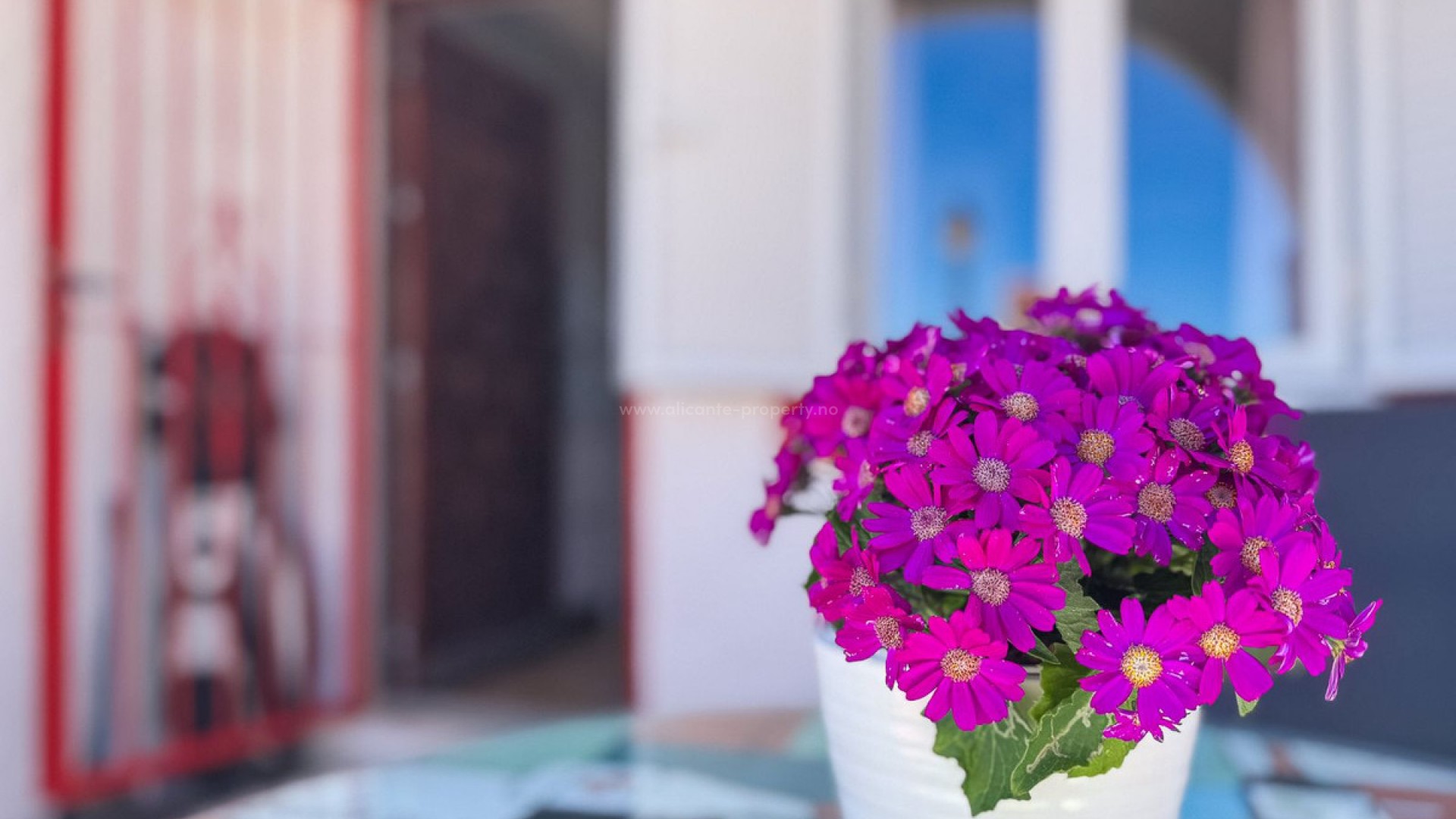 Bungalow in Cabo Cervera
