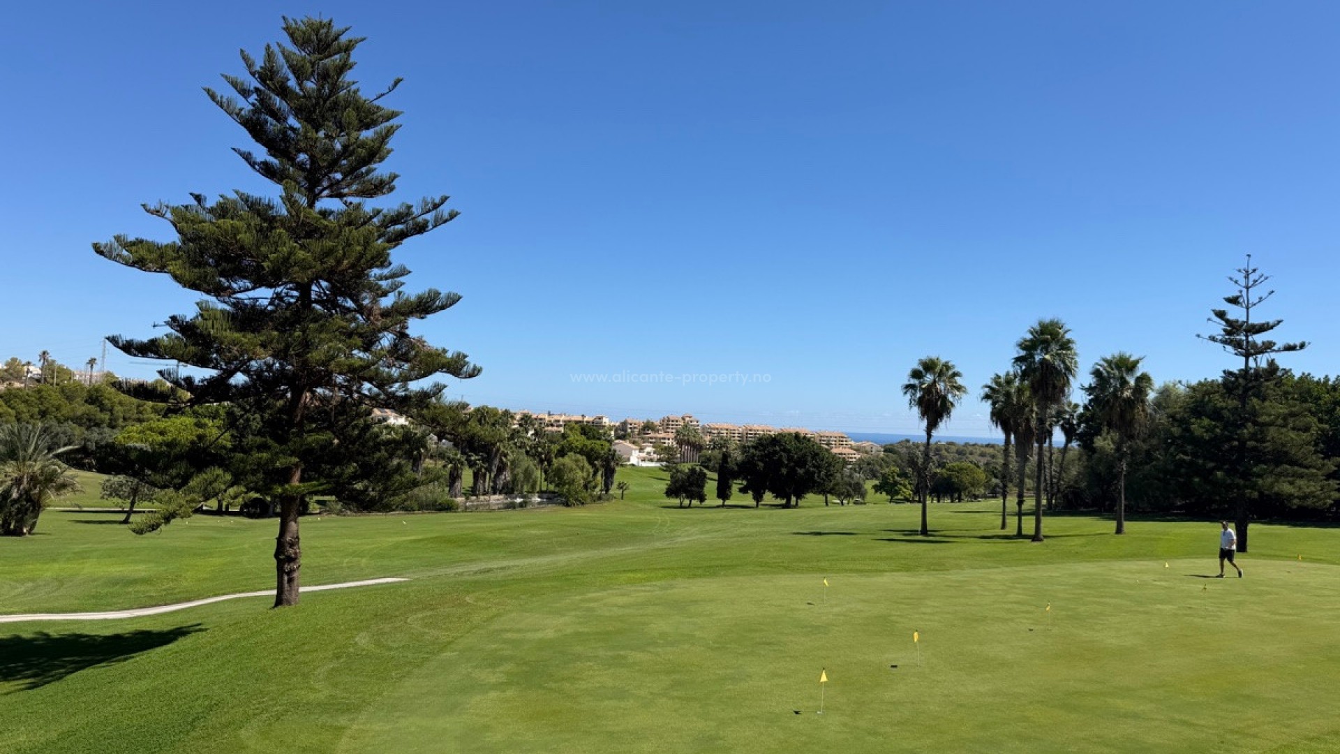 Bungalow in Campoamor