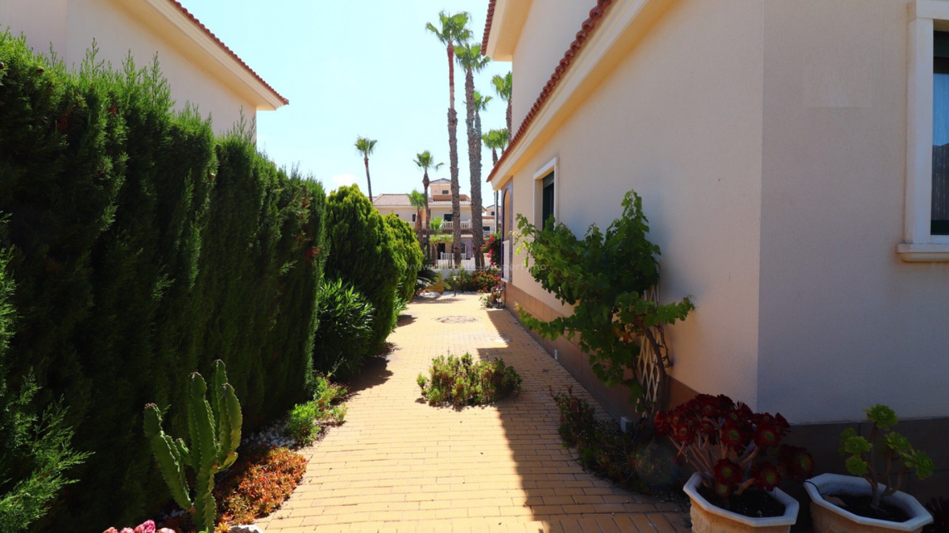 Bungalow in Doña Pepa